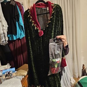 Elegant Green and Red Long Sleeve Dress